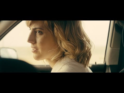 afbeelding Animales sin Collar