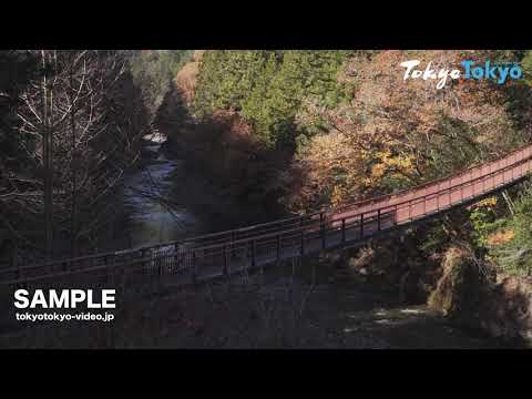 [Tokyo Footage] Akigawa Valley | 秋川渓谷（Tokyo Japan）