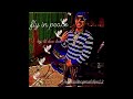 Lil Dae Dae- Fly In Peace (prod. by Tagg)