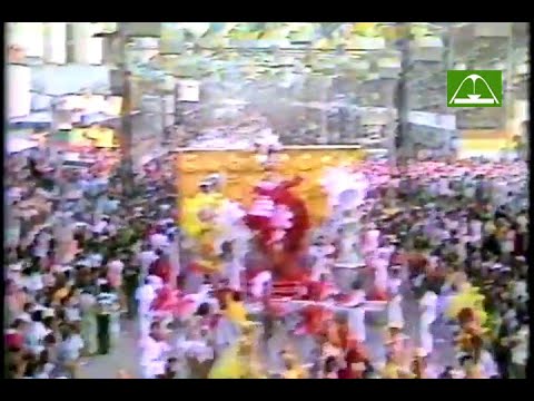 Acadêmicos do Salgueiro 1981 (Globo)