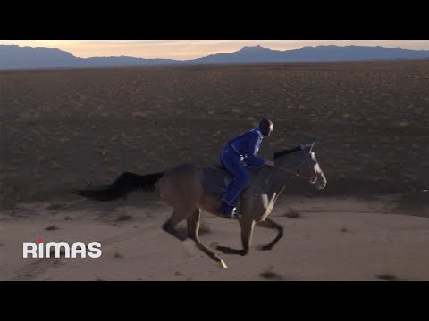 Miniatura de LOS PITS