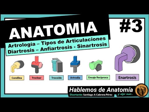 🔴 #3 👉 ANATOMÍA 🟩 ARTROLOGIA 🟪  CLASIFICACION DE LAS ARTICULACIONES 🟥  TIPO DE ARTICULACIONES