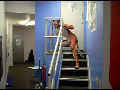 Humanimal - www.circusperformers.com