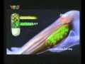 07 02 11 ZDROVIT MAGNUM CRAMP Cramp Treatment Supp ZDROVIT MAGNUM CRAMP ZDROVIT MAGNUM CRAMP 20s