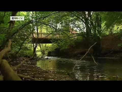 Die Empfehlung - Das Mecklenburger Land | Hin & Weg