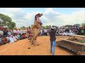 Such Camel Dance For The First Time In Rajasthan Rabbit Dance Camel Dance Rajasthan Dj Song Vi