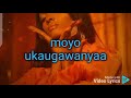 saraphina-wamerudiana official lyrics