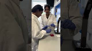 Download lagu Biomedical Science Day at LSBU mp3 Download lagu Biomedical Science Day at LSBU mp3