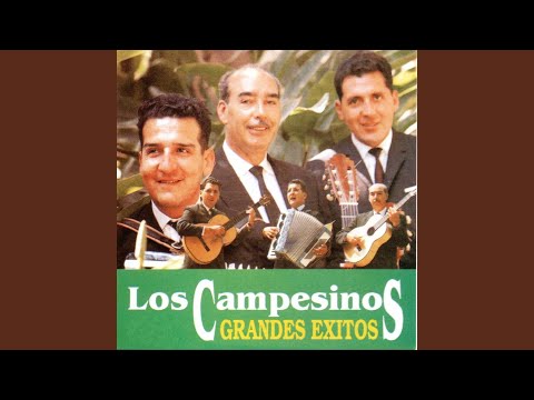 Amapolita - Los Campesinos