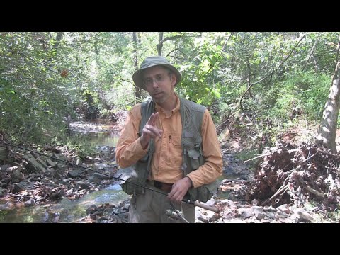 Part 2: How to Fly Fish with a Spinning Rod - Tangles, Line, Fly Storage