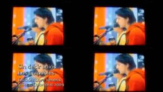 Sin decir adiós... LOS CULPABLES