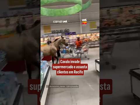 Cavalo invade supermercado e assusta clientes em Recife