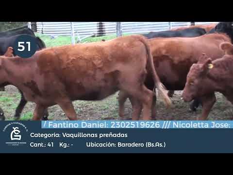 Lote vQ cgp - Baradero Bs As