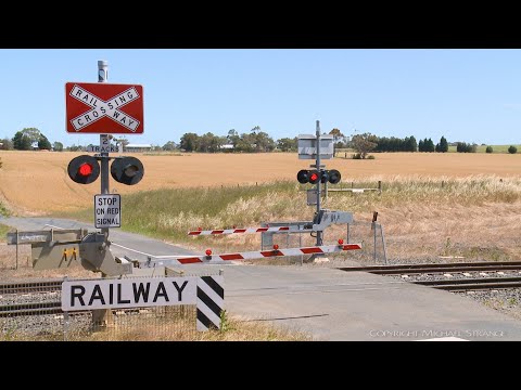 4PM4 Steel Wagons & Shipping Containers At Railway Crossing (28/11/2021) - PoathTV Australian Trains