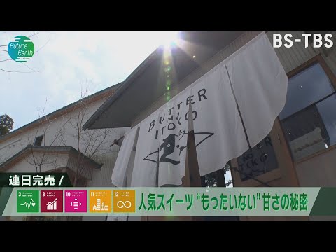 ワールド アース デー: これら 3 つのアプリは持続可能性のテーマに役立ちます
