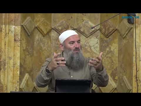 Deklaratat antiIslame të akademikut Mehmet Kraja - Hoxhë Bekir Halimi