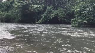 Wanita cantik bertahan hidup hingga mandi di sungai sepi (Bushcraft / camping woman)