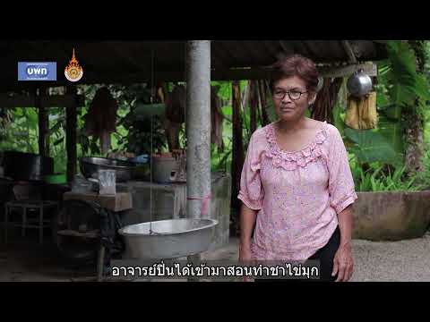 นวัตกรรมการพัฒนาสาคูเพื่อเพิ่มขีดความสามารถในการแข่งขัน