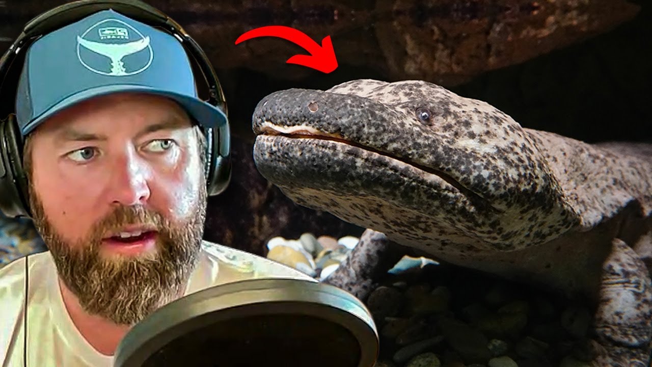 The Most Aggressive Animal Forrest Galante Has Encountered