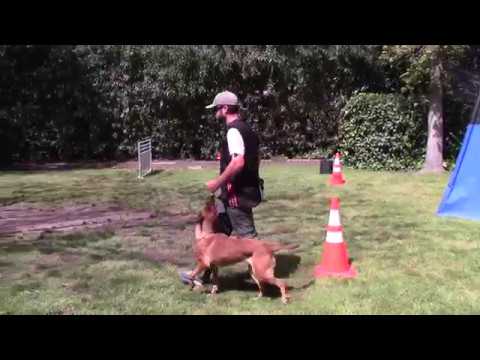 French Ring Brevet Walk Through