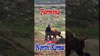 👨‍🌾 Farming in North Korea 🚀 #Shorts