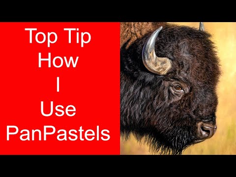 How I use PanPastels - Beginner + lesson. Jason Morgan art