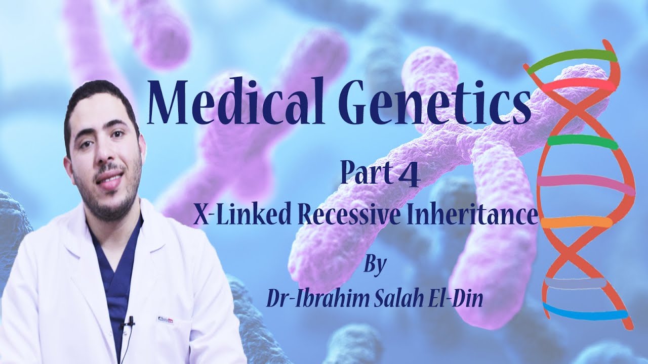 Medical Genetics Part 4  X-linked Recessive Inheritance