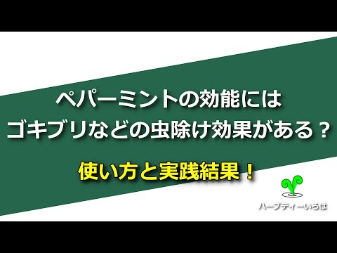 ヘビに対してペパーミントを使用するにはどうすればよいですか?庭園の秘密  庭園