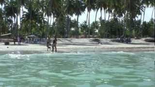 preview picture of video 'Praia dos Carneiros em Tamandaré - Pernambuco'