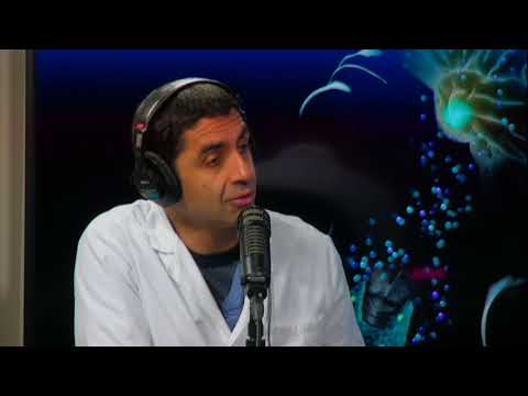 download lagu mp3 mp4 How To Grow Taller Pituitary Gland, download mp3 How To Grow Taller Pituitary Gland free downloadn, video klip How To Grow Taller Pituitary Gland