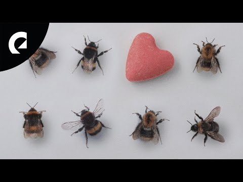 Victor Lundberg ft. Robin Öman - For Someone Like Me