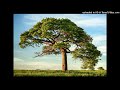 Luke Slater - Zebediah