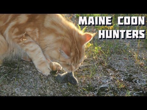 download lagu mp3 mp4 Unwelcome Guests 101 200, download mp3 Unwelcome Guests 101 200 free downloadn, video klip Unwelcome Guests 101 200