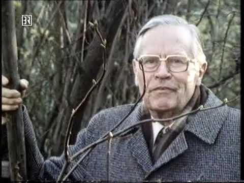 2. Weltkrieg: Die Bombardierung von Würzburg (Doku)