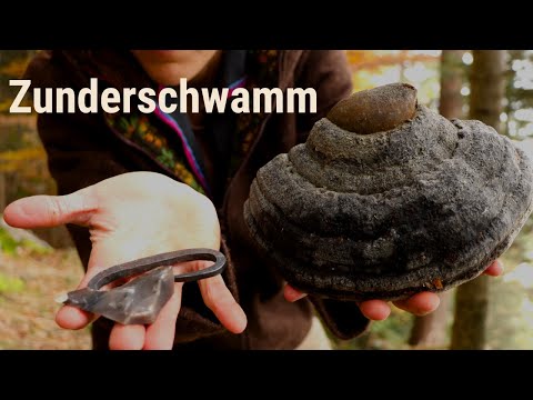 In search of the tinder fungus - making fire with a flint and steel