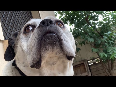 W1D5: Bench, Deadlift