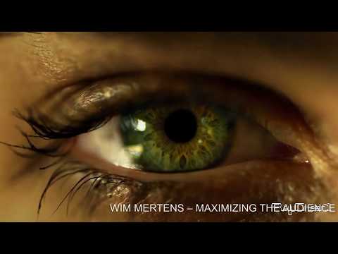 WIM MERTENS ‎– MAXIMIZING THE AUDIENCE 1986