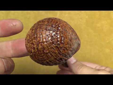 Pipa L'Anatra Sabbiata con vera in argento - Bent Apple - filtro 9mm - AN130