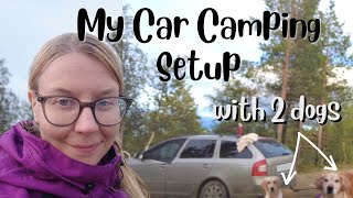 No Build Car Camping Setup - Car Camping with 2 Dogs?!