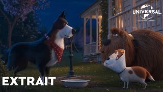 Comme des Bêtes 2 - Extrait : "Rico donne des conseils" VOST