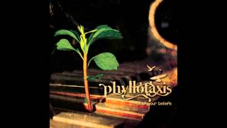 Phyllotaxis - Adanvdo
