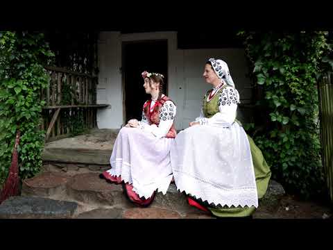 PISKORZE - Na polu wierzba