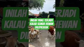Download lagu THIS IS WHAT IRFAN HAKIM'S HOUSE LOOKS LIKE WHEN THE ANIMALS ARE RELEASED #shorts #irfan #animals... mp3 Download lagu THIS IS WHAT IRFAN HAKIM'S HOUSE LOOKS LIKE WHEN THE ANIMALS ARE RELEASED #shorts #irfan #animals... mp3