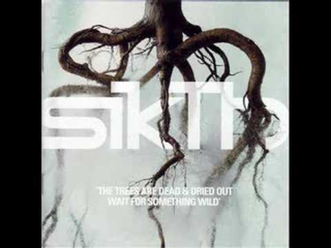 SiKtH - skies of the millenium night