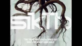 SiKtH - skies of the millenium night
