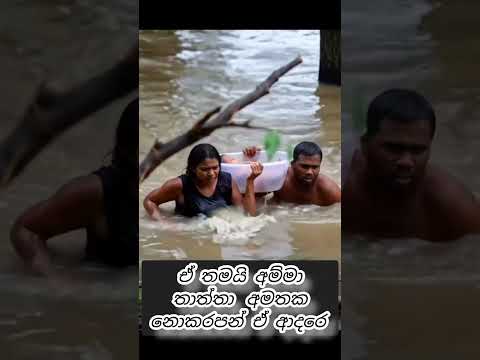 අම්මා තාත්තා අමතක නොකරපන්  🥺🙏