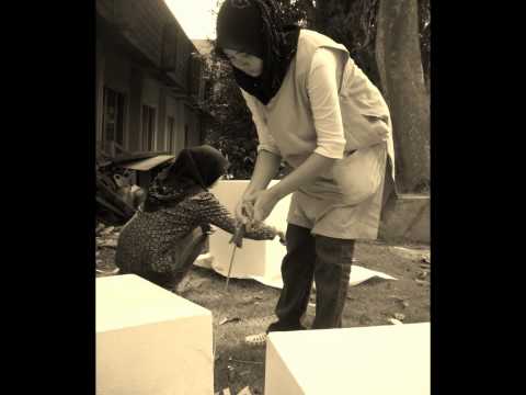 Memori AD225 Batch Dis 2009 - Jan 2012