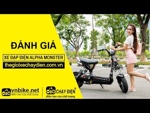 Xe đạp điện Alpha Monster