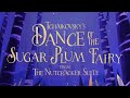 Tchaikovsky Dance Of The Sugar Plum Fairy From The Nutcracker Suite Animation