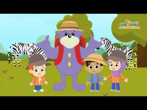 5 Zaky Animal Songs (Cartoon)